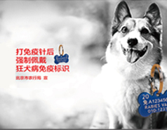 北京市动物防疫点